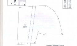 Registracionnye02